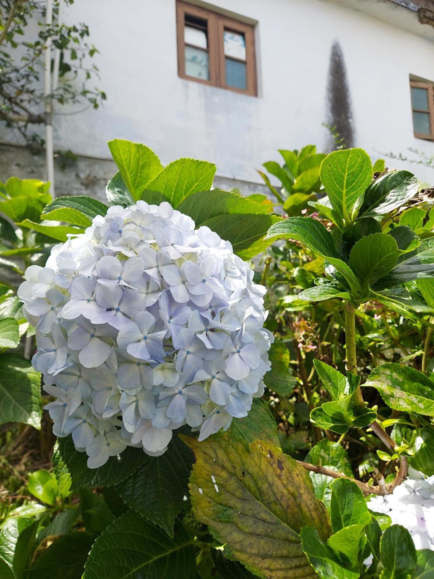 Amman Resorts Kodaikanal Buitenkant foto